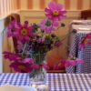 Breakfast Table with Flowers, Ballymaloe House - Dublin, Ireland