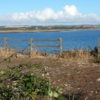 Fence with view of Bay Ballycotton, East Cork - Ireland