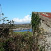 Stone wall with bay Ballycotton, East Cork - Ireland