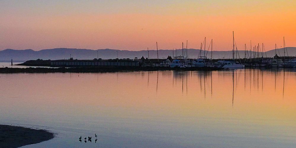 East Bay Marina at sunset by @fotosynthesis3
