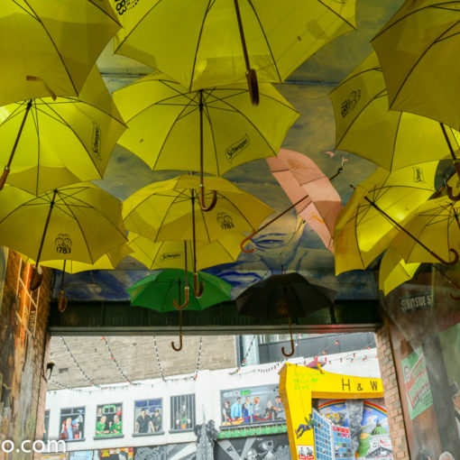 Dark Horse Umbrellas Cathedral Quarter Belfast Street Art