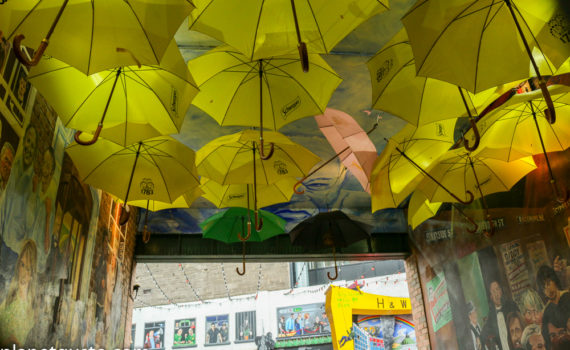 Dark Horse Umbrellas Cathedral Quarter Belfast Street Art