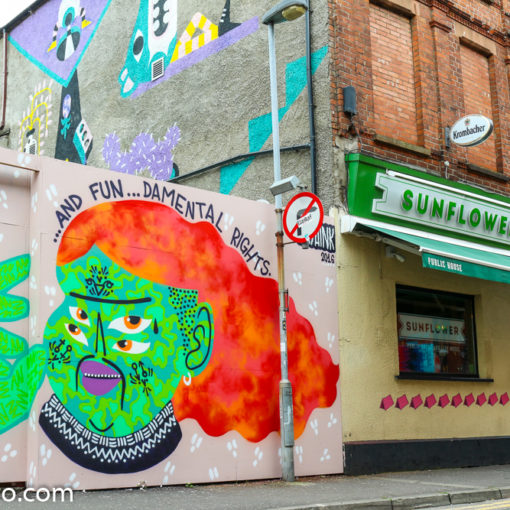 Kashink Mural Sunflower Belfast Cathedral Quarter Street Art