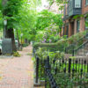 Brown Stones South End - Shamut Ave, Boston, MA