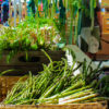 Produce Stall with Asparagus SoWa Sunday Market Boston